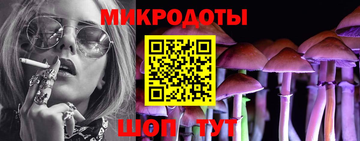 Галлюциногенные грибы Psilocybine cubensis Саянск