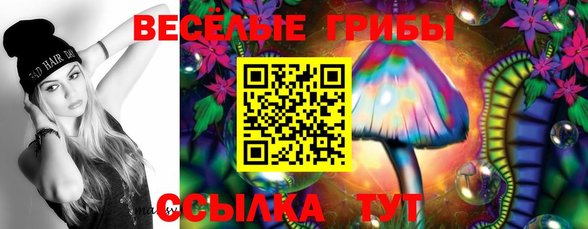 Саянск  магазин продажи наркотиков  Вход с VPN  Псилоцибиновые грибы Psilocybe 